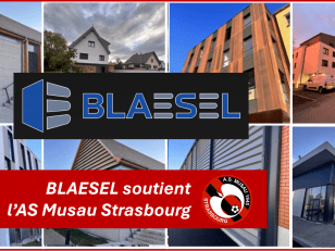 EpG_BEEWEAAplp8.jpg_large