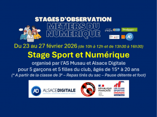 EpG_BEEWEAAplp8.jpg_large