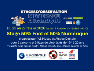 EpG_BEEWEAAplp8.jpg_large